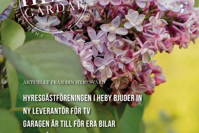 Nyhetsbrev nr 1 2026 första sidan